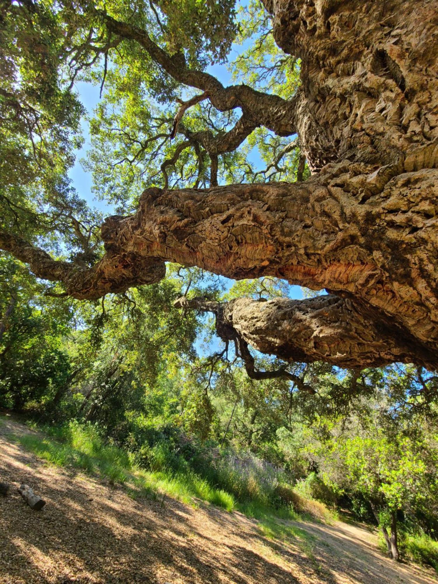 Evasion Nature A Cap Esterel Jardin, Mer & Golf Tout Confort Saint-Raphael (Var) Exterior foto